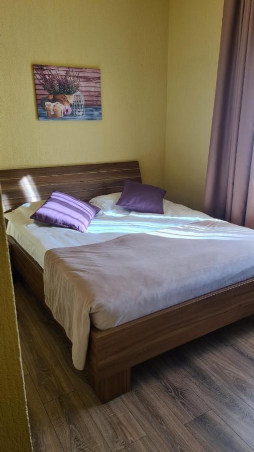 Hotel Gema Braşov Eksteriør bilde